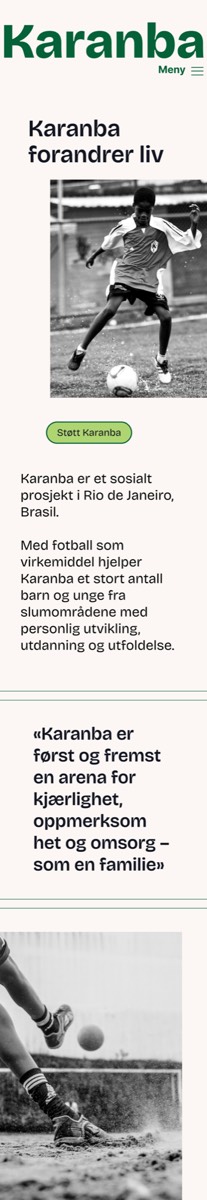 Visuell identitet og nye nettsider — bilde 16